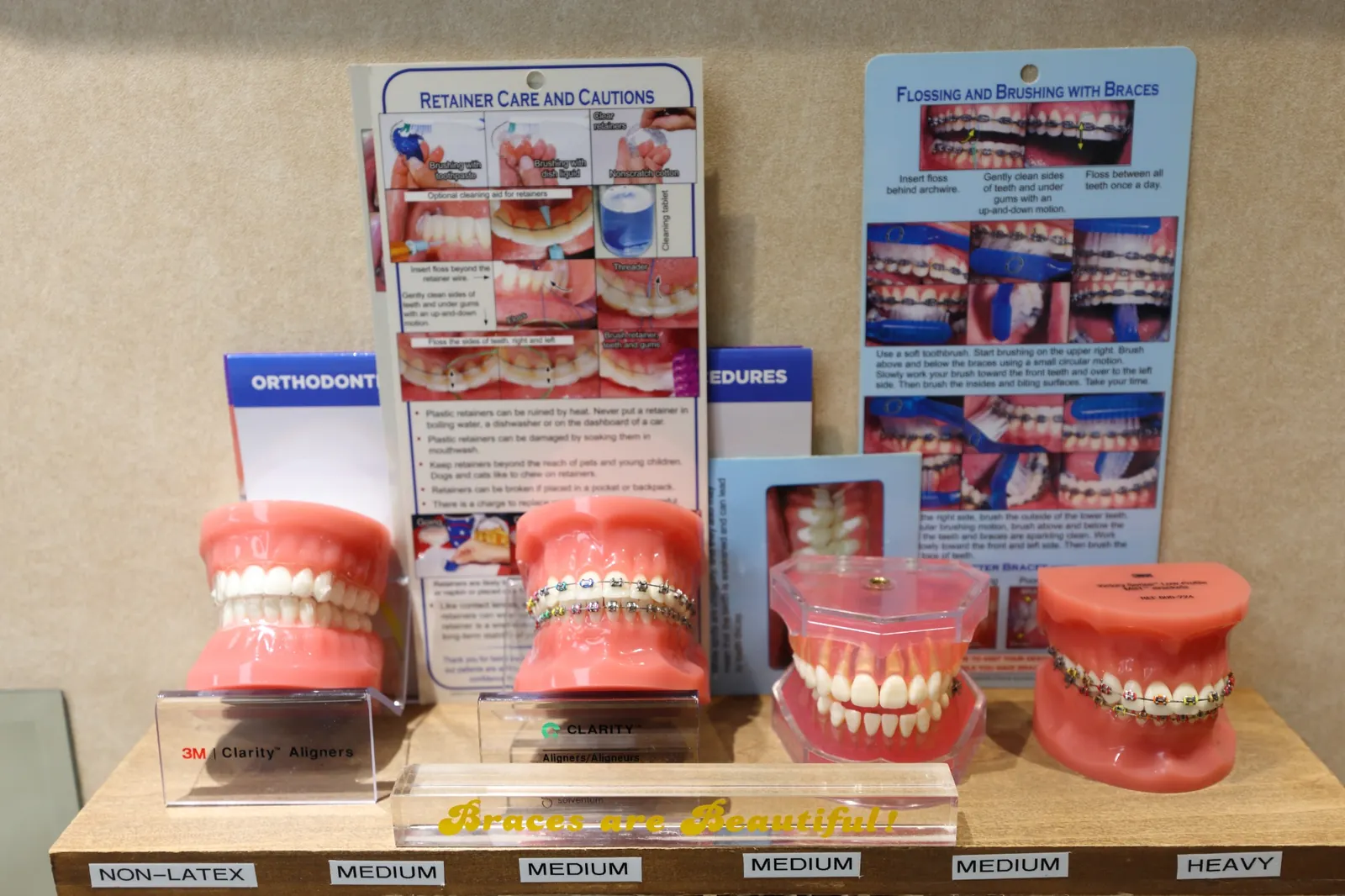 Orthodontic models displaying braces and clear aligners at Hamilton Dental Associates